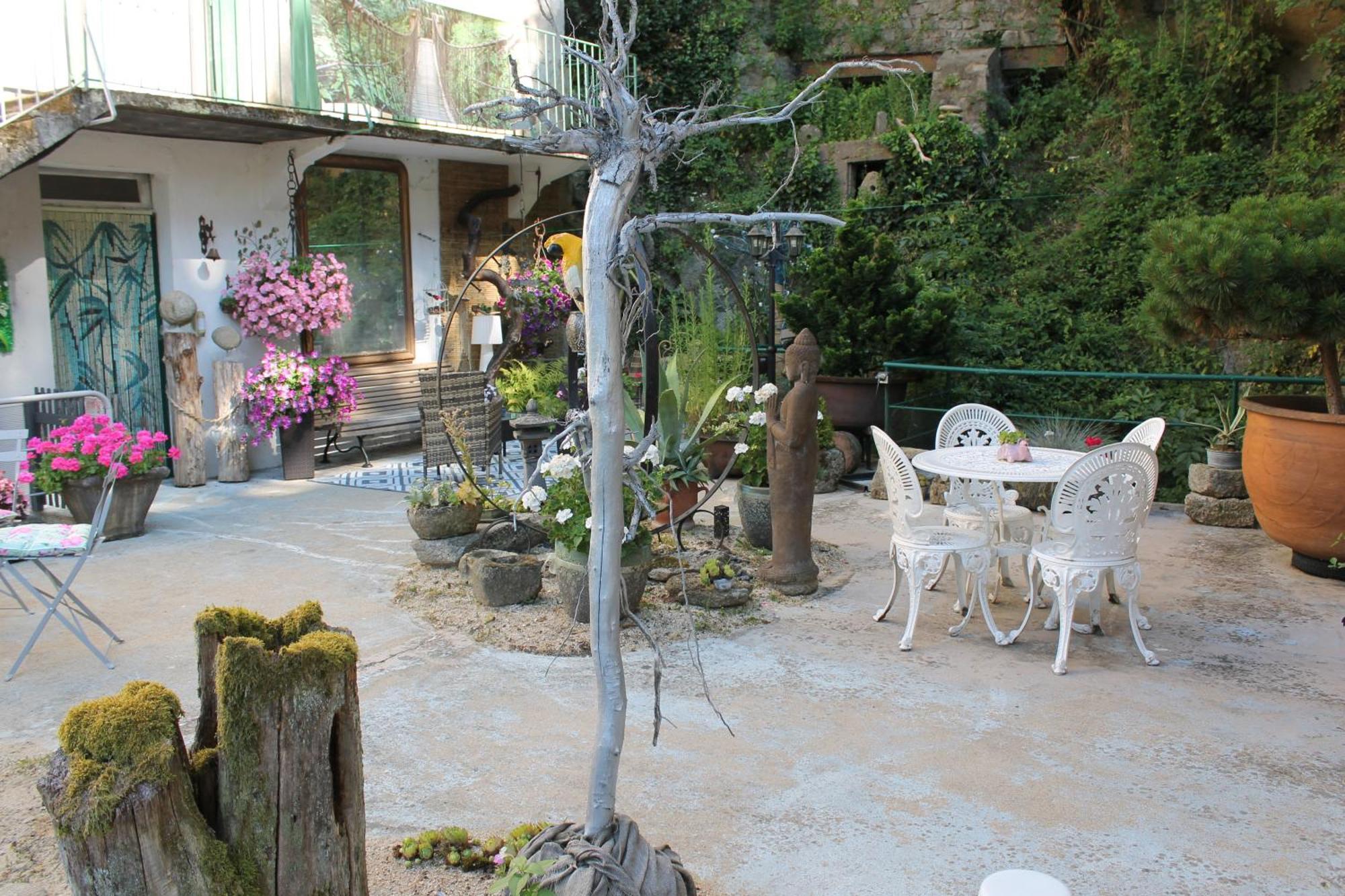 Studio Malou, Cuisine, Salle D'Eau, Terrasse Amenagee Olliergues Exteriör bild